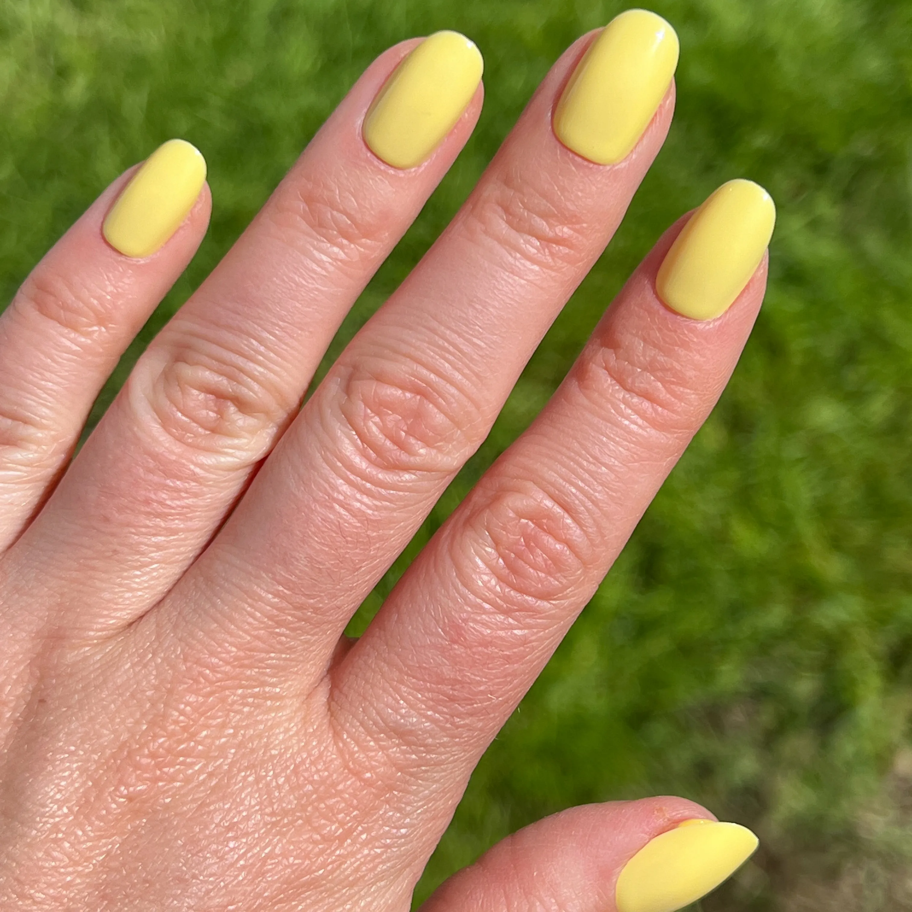 Bright & Focused | Round | Short