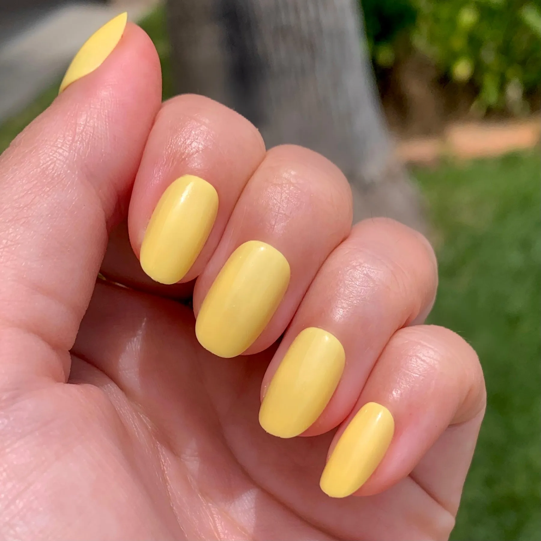 Bright & Focused | Round | Short