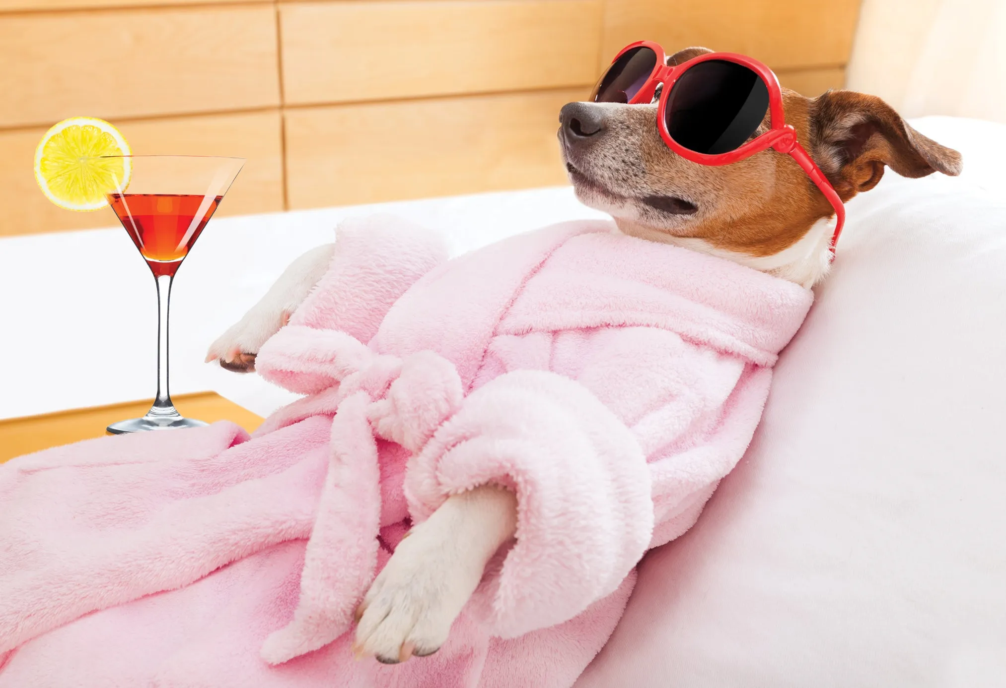 Relaxing Pup Funny Birthday Card