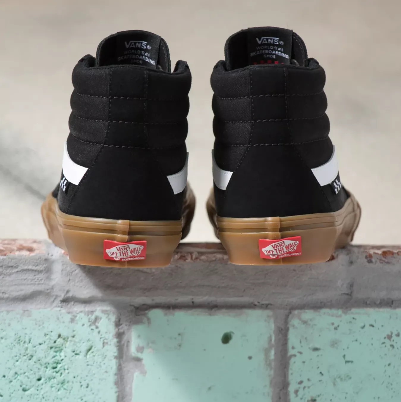 Skate Sk8-Hi Black/Gum