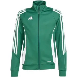 Sweatshirt For Kids Adidas Tiro 24 Training Green Ir7503 164Cm